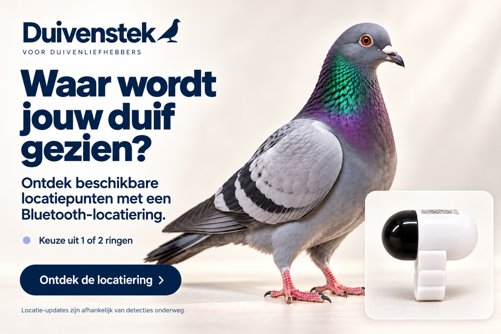 Duivenstek Bluetooth-locatiering met reisduif en uitleg over locatiepunten.