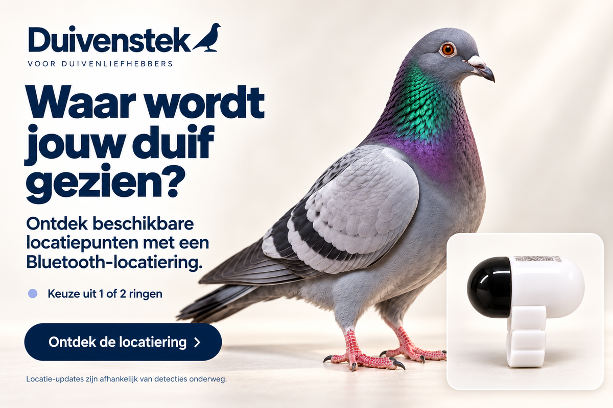 Duivenstek Bluetooth-locatiering met reisduif en uitleg over locatiepunten.